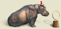 hippo